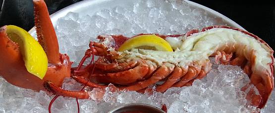 34 lobster appetizer
